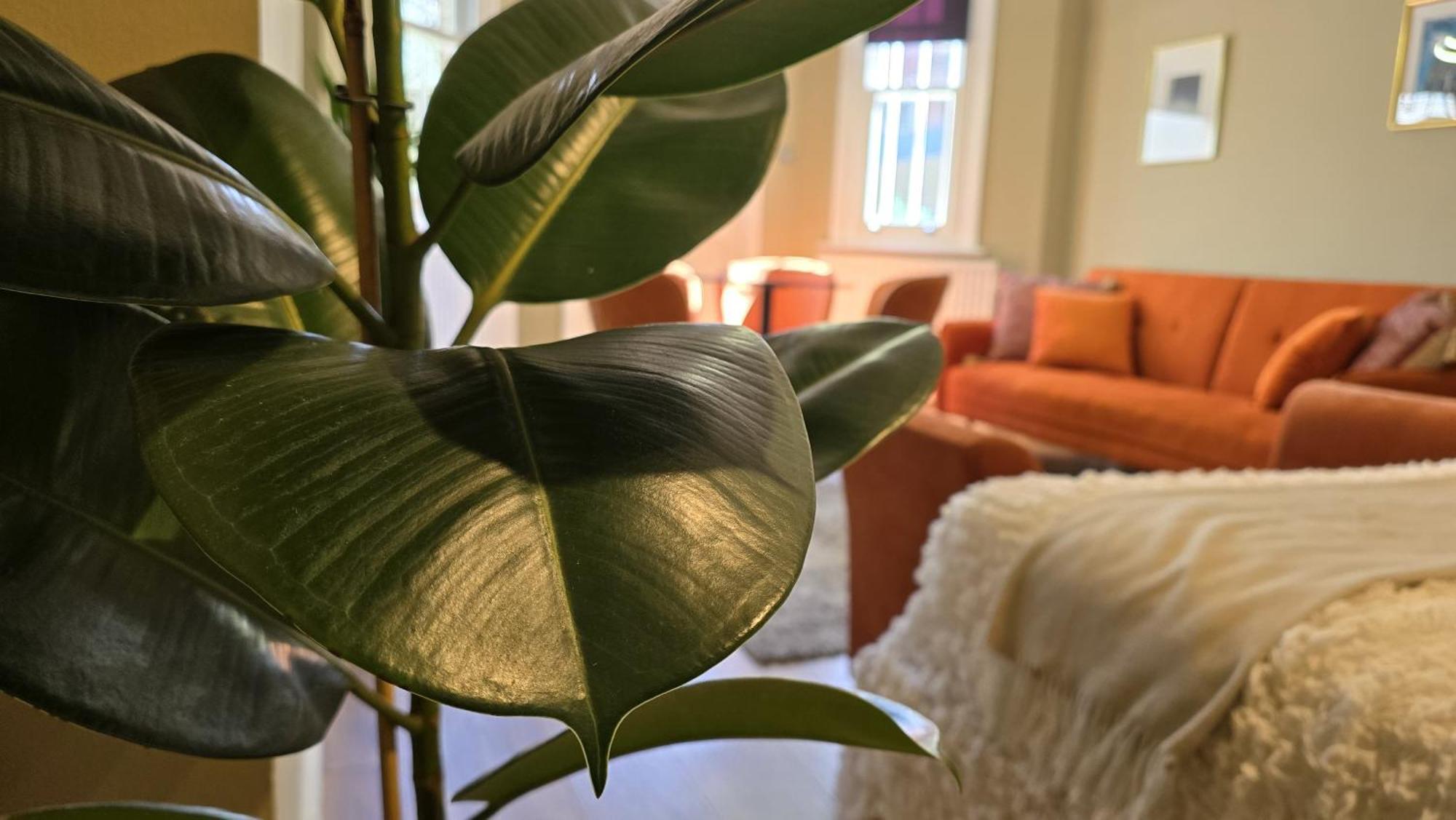 Spacious Studio For 4 Flat Near Regents Park N2 伦敦 外观 照片